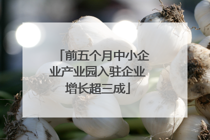 前五个月中小企业产业园入驻企业增长超三成