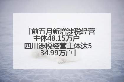 前五月新增涉税经营主体48.15万户 四川涉税经营主体达534.99万户