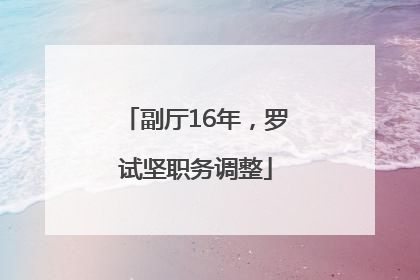 副厅16年，罗试坚职务调整
