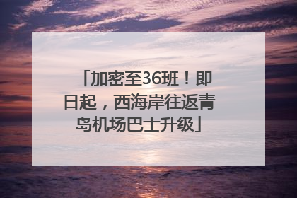 加密至36班！即日起，西海岸往返青岛机场巴士升级