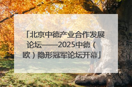 北京中德产业合作发展论坛——2025中德（欧）隐形冠军论坛开幕