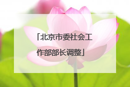 北京市委社会工作部部长调整