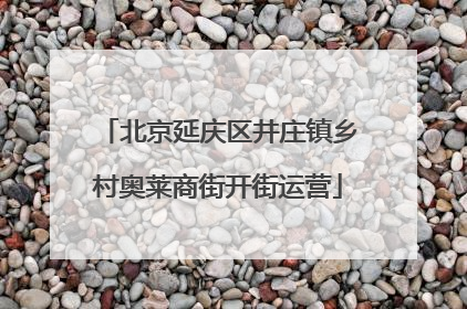 北京延庆区井庄镇乡村奥莱商街开街运营