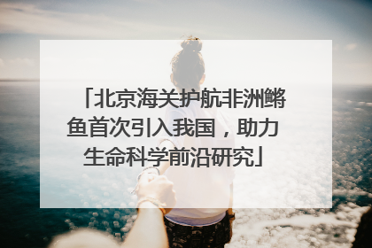 北京海关护航非洲鳉鱼首次引入我国，助力生命科学前沿研究