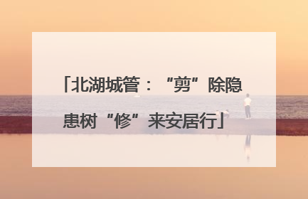 北湖城管：“剪”除隐患树“修”来安居行