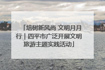 培树新风尚 文明月月行｜四平市广泛开展文明旅游主题实践活动