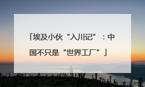 埃及小伙“入川记”：中国不只是“世界工厂”