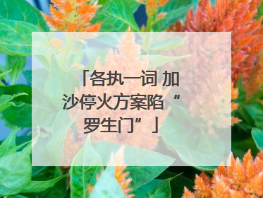 各执一词 加沙停火方案陷“罗生门”