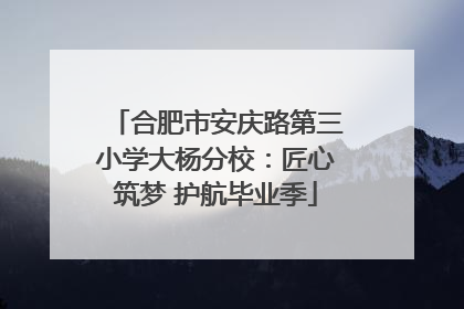 合肥市安庆路第三小学大杨分校：匠心筑梦 护航毕业季