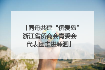 同舟共建“侨爱岛” 浙江省侨商会青委会代表团走进嵊泗