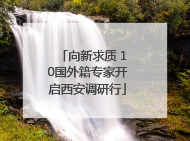 向新求质 10国外籍专家开启西安调研行