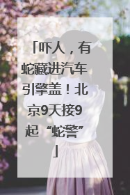 吓人，有蛇藏进汽车引擎盖！北京9天接9起“蛇警”