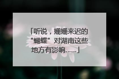 听说，姗姗来迟的“蝴蝶”对湖南这些地方有影响……