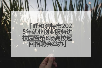 呼和浩特市2025年就业创业服务进校园暨第8场高校巡回招聘会举办
