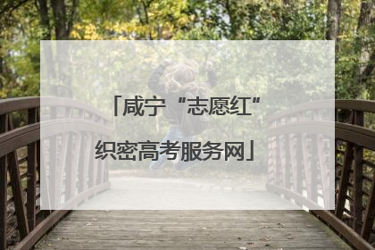 咸宁“志愿红”织密高考服务网