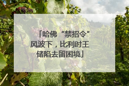 哈佛“禁招令”风波下，比利时王储陷去留困境