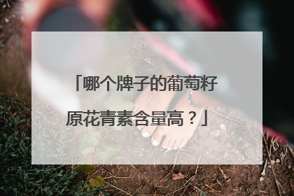 哪个牌子的葡萄籽原花青素含量高？