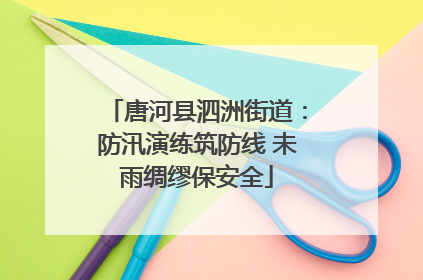 唐河县泗洲街道：防汛演练筑防线 未雨绸缪保安全