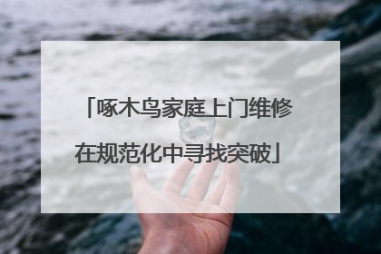 啄木鸟家庭上门维修在规范化中寻找突破