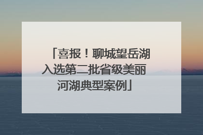 喜报！聊城望岳湖入选第二批省级美丽河湖典型案例