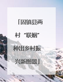 固镇县两村“联姻”种出乡村振兴新图景