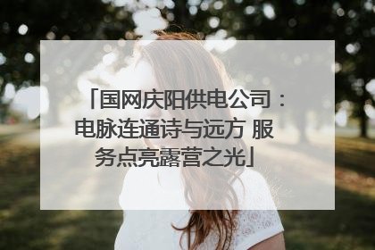 国网庆阳供电公司：电脉连通诗与远方 服务点亮露营之光