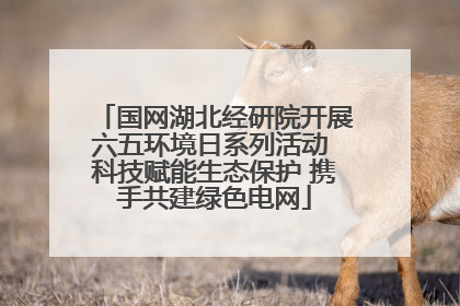 国网湖北经研院开展六五环境日系列活动 科技赋能生态保护 携手共建绿色电网