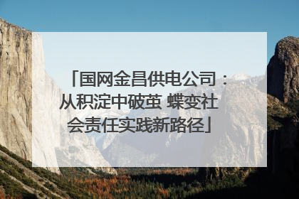 国网金昌供电公司：从积淀中破茧 蝶变社会责任实践新路径