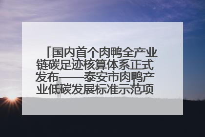 国内首个肉鸭全产业链碳足迹核算体系正式发布——泰安市肉鸭产业低碳发展标准示范项目顺利通过验收