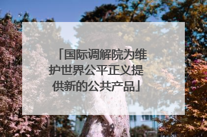 国际调解院为维护世界公平正义提供新的公共产品