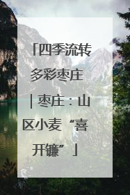 四季流转 多彩枣庄｜枣庄：山区小麦“喜开镰”
