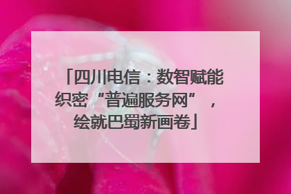 四川电信：数智赋能织密“普遍服务网”，绘就巴蜀新画卷