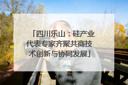 四川乐山：硅产业代表专家齐聚共商技术创新与协同发展