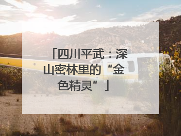 四川平武：深山密林里的“金色精灵”