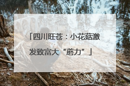 四川旺苍：小花菇激发致富大“蘑力”