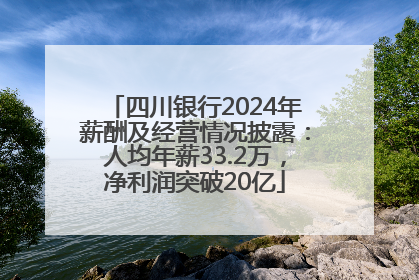 四川银行2024年薪酬及经营情况披露：人均年薪33.2万，净利润突破20亿