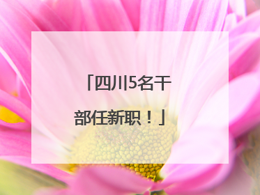 四川5名干部任新职！