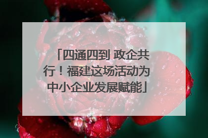 四通四到 政企共行！福建这场活动为中小企业发展赋能