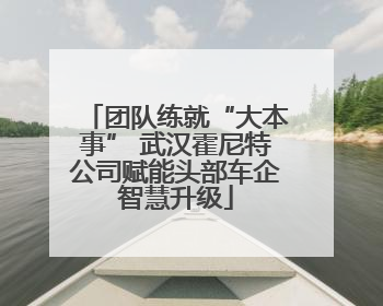 团队练就“大本事” 武汉霍尼特公司赋能头部车企智慧升级