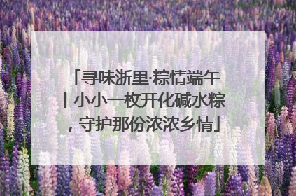 寻味浙里·粽情端午丨小小一枚开化碱水粽，守护那份浓浓乡情