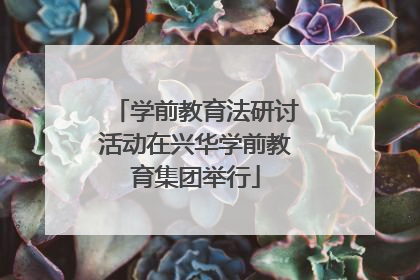 学前教育法研讨活动在兴华学前教育集团举行