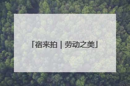 宿来拍｜劳动之美