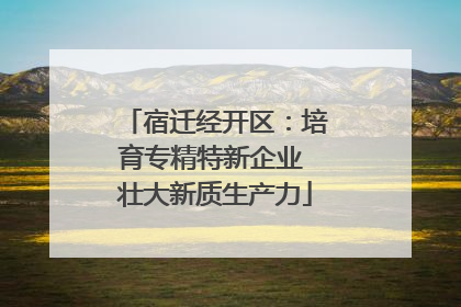 宿迁经开区：培育专精特新企业 壮大新质生产力