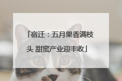 宿迁：五月果香满枝头 甜蜜产业迎丰收