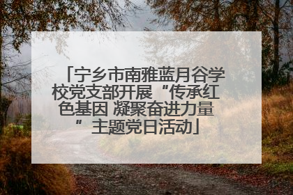 宁乡市南雅蓝月谷学校党支部开展“传承红色基因 凝聚奋进力量”主题党日活动