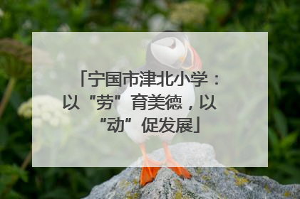 宁国市津北小学：以“劳”育美德，以“动”促发展