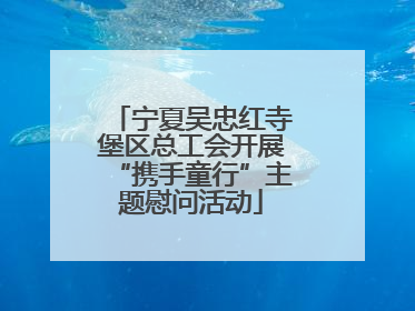 宁夏吴忠红寺堡区总工会开展“携手童行”主题慰问活动