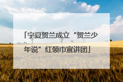 宁夏贺兰成立“贺兰少年说”红领巾宣讲团