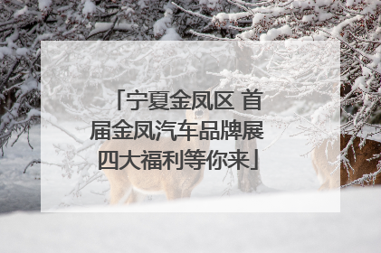 宁夏金凤区 首届金凤汽车品牌展四大福利等你来