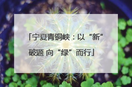 宁夏青铜峡：以“新”破题 向“绿”而行